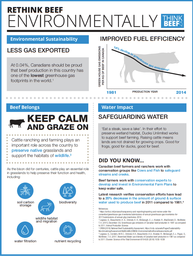 Beef Environmental Chart