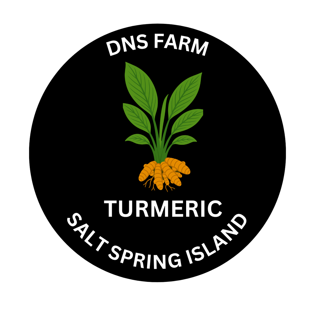 Turmeric