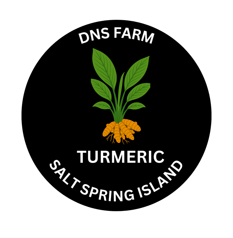 Turmeric