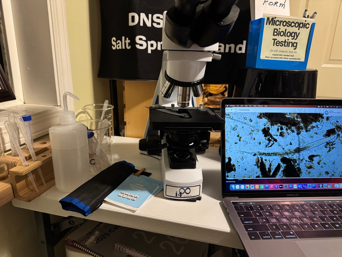 microscopic biology analysis